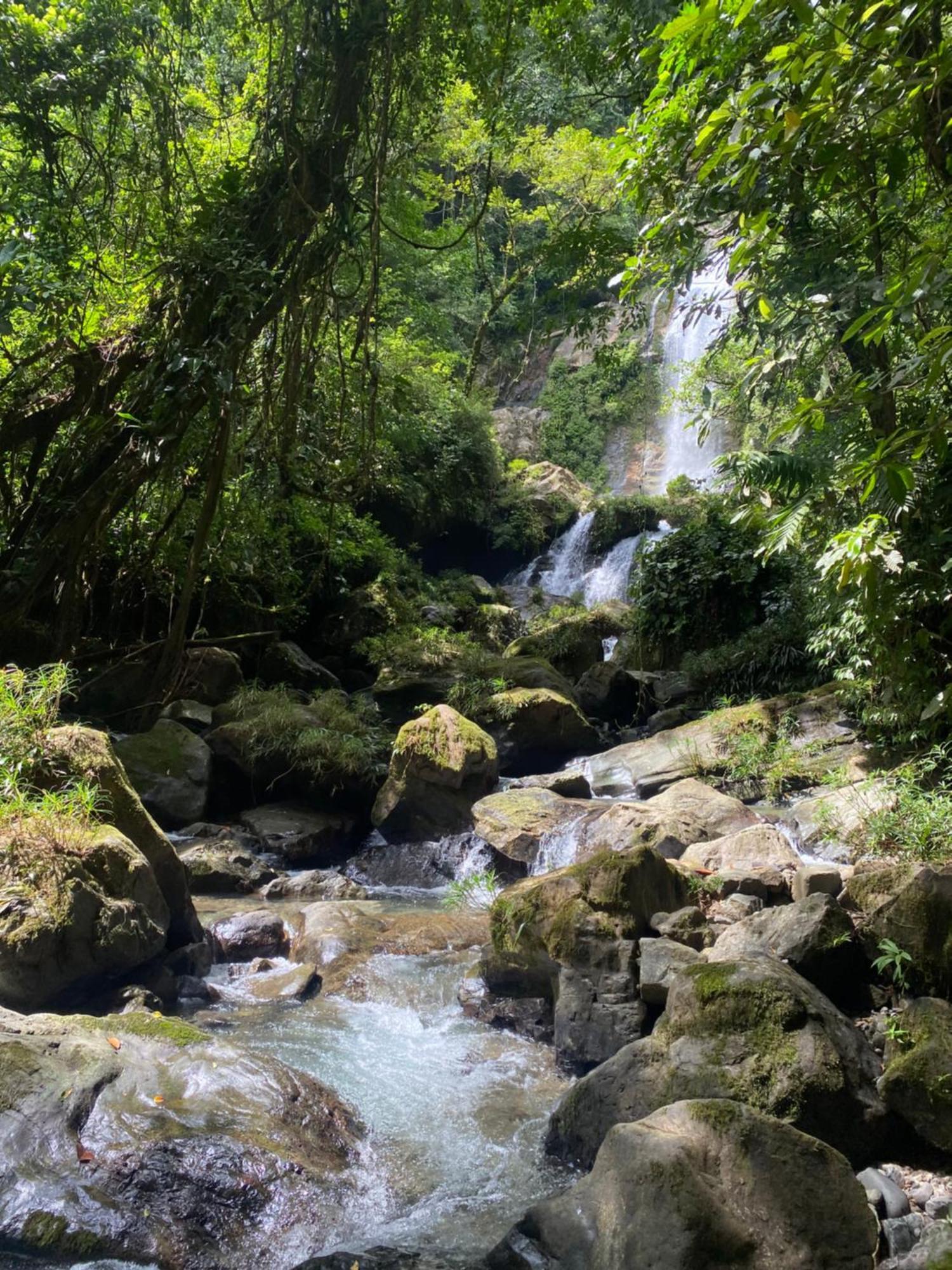 Rainforest Yasmin Hotel Santa Fé Extérieur photo