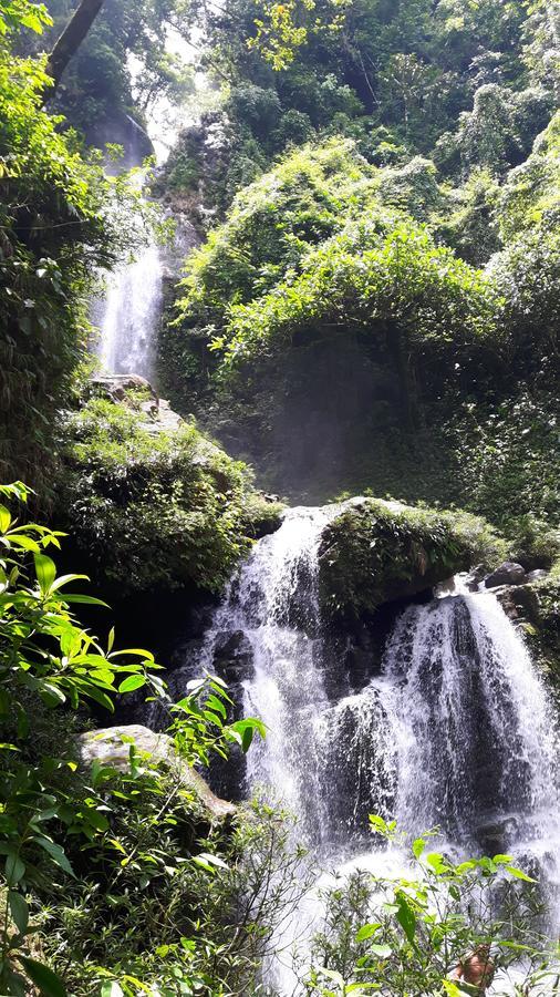 Rainforest Yasmin Hotel Santa Fé Extérieur photo